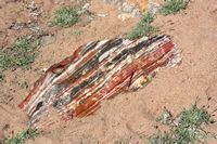 ...with incredible colours